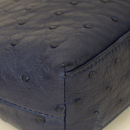 Loro Piana Blue Ostrich L19 Pouch-Loro Piana-THE CLOSET