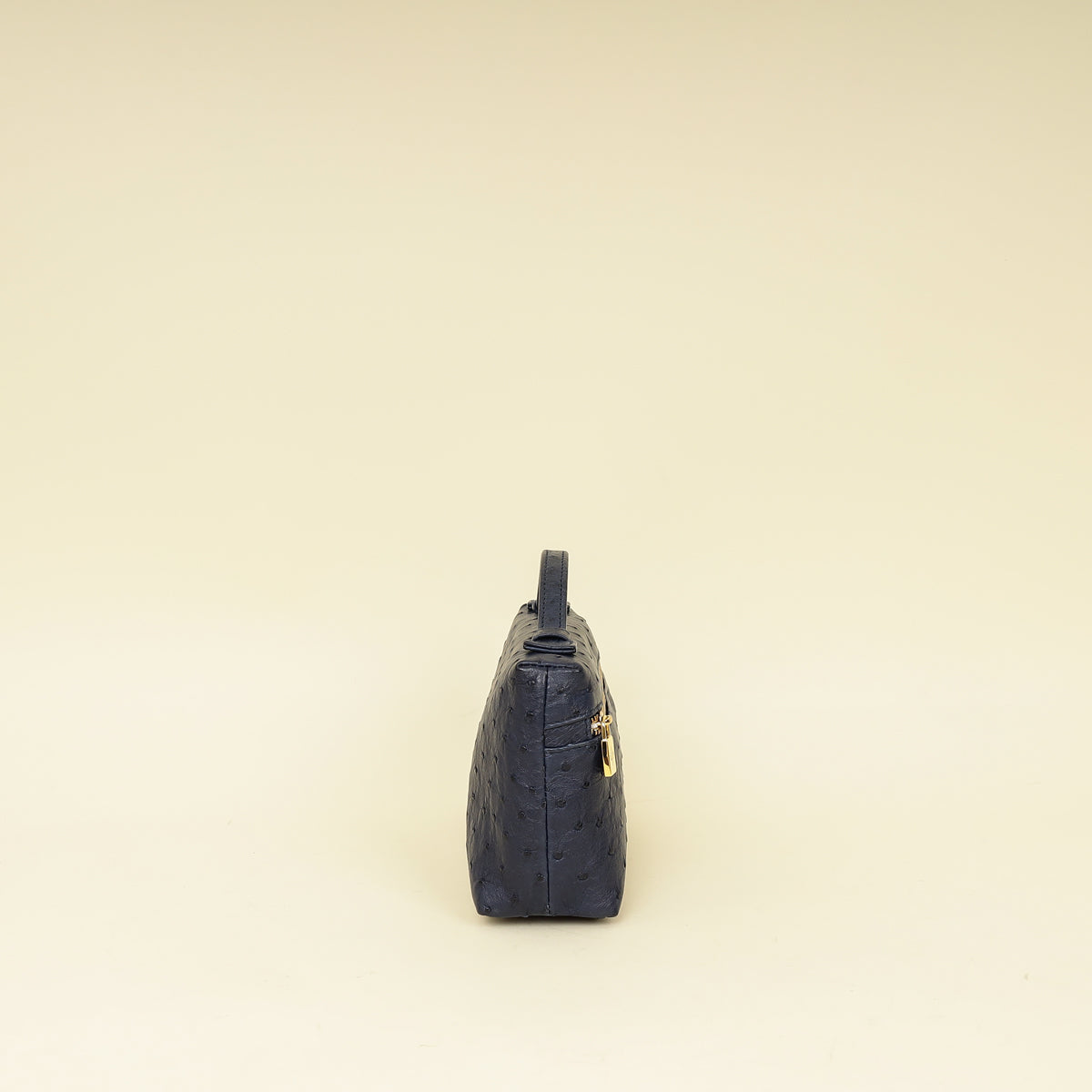 Loro Piana Blue Ostrich L19 Pouch-Loro Piana-THE CLOSET