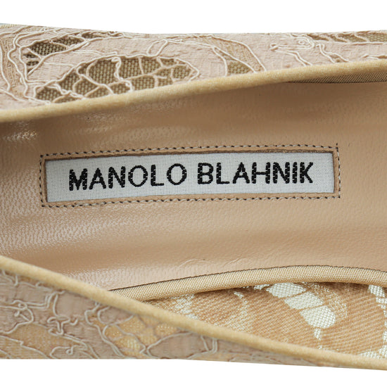 Load image into Gallery viewer, Manolo Blahnik Powder Nude Lace Embellished Hangisi Pump 40
