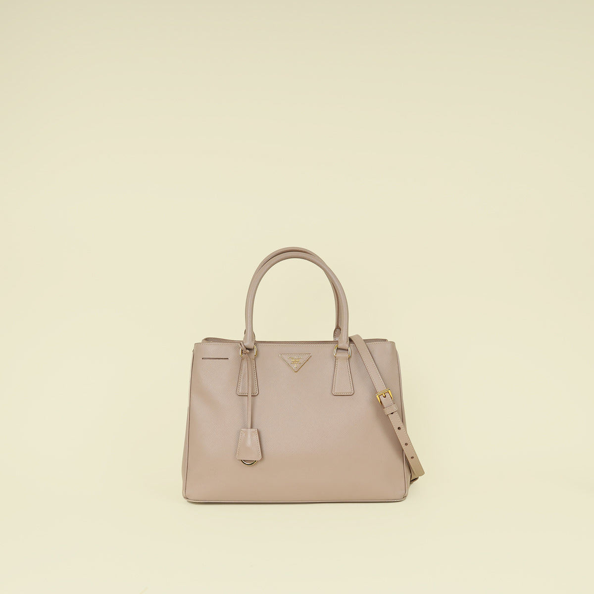 Prada Cammeo LuxGardener's Small Tote Bag-Handbags-Prada-THE CLOSET