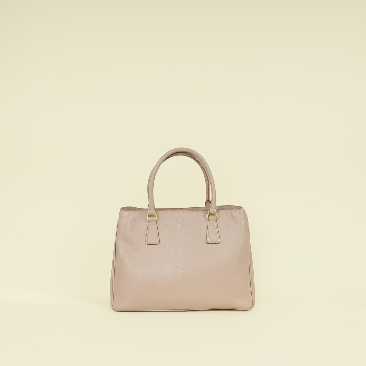 Prada Cammeo LuxGardener's Small Tote Bag-Handbags-Prada-THE CLOSET