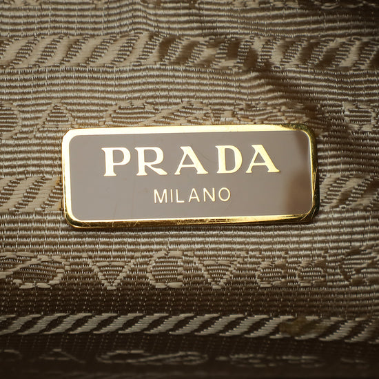 Prada Beige Re- Edition 2005 Bag