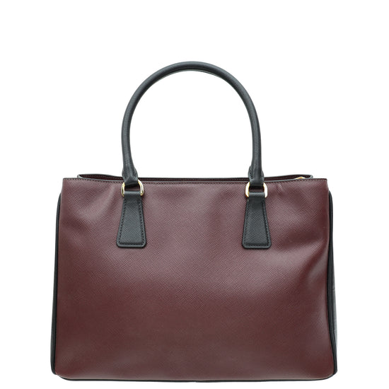 Prada Bicolor Lux Gardener's Tote Bag