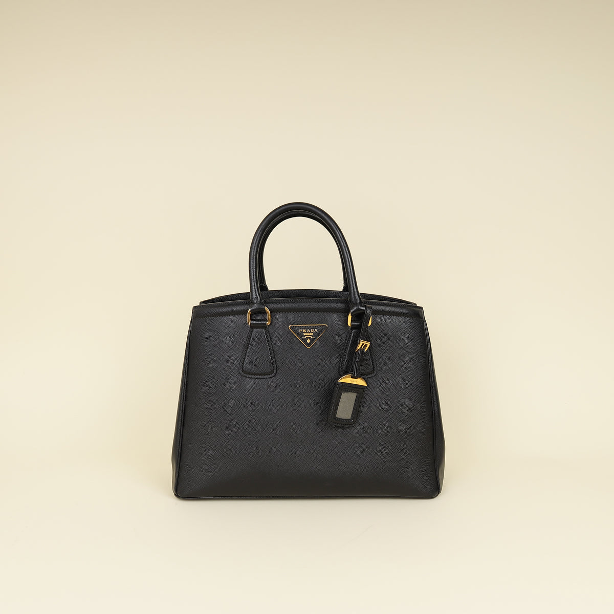 Prada Lux Parabole Tote-Prada-THE CLOSET