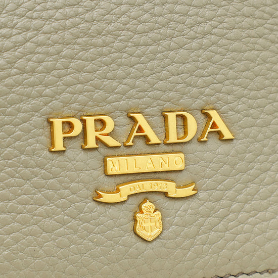 Prada Argilla Gray Vitello Phenix Flap Camera Bag