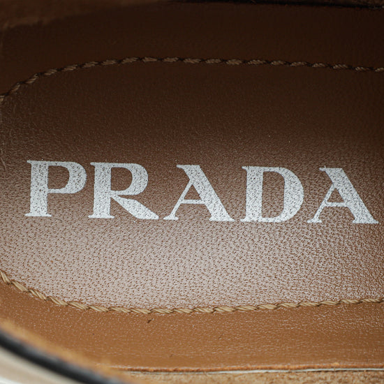 Prada Brown Logo Sneaker 39