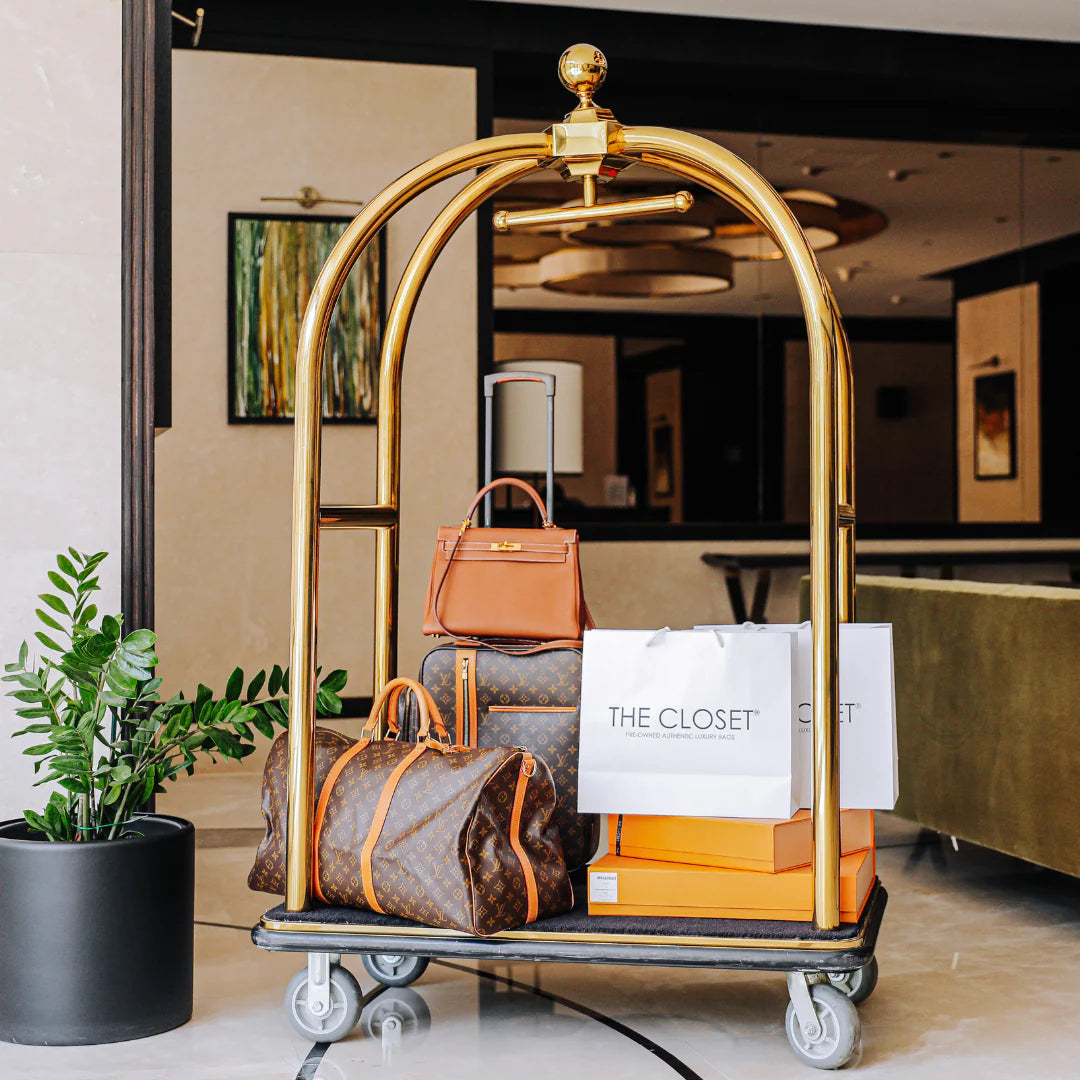 Louis Vuitton Bicolor Cherrywood Bag-brown – The Closet