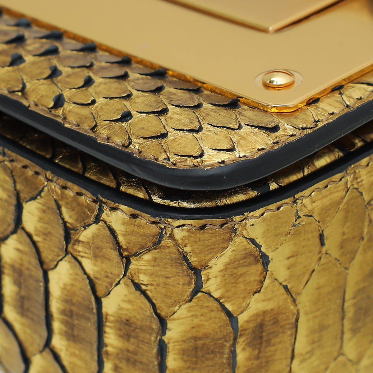 Tom Ford Metallic Gold Python Mini Natalia Chain Flap Bag – THE CLOSET