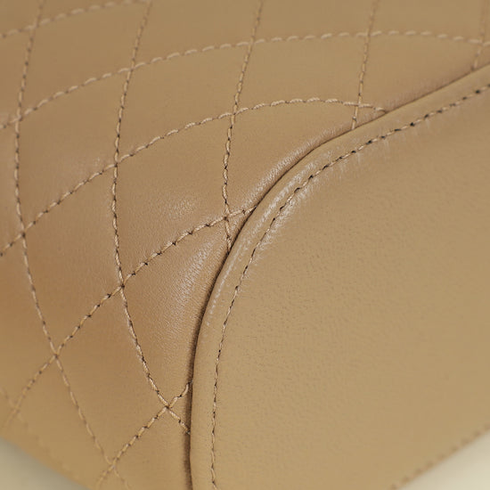 YSL Nude Gaby Vanity Bag