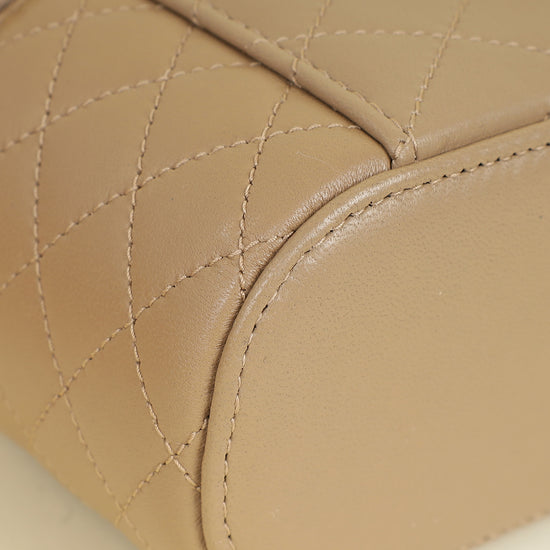 YSL Nude Gaby Vanity Bag