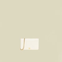 Gucci Bicolor GG Marmont Wallet On Chain