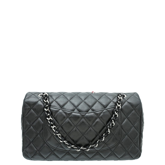 Chanel Black CC Ladybug Flap Medium Bag – The Closet