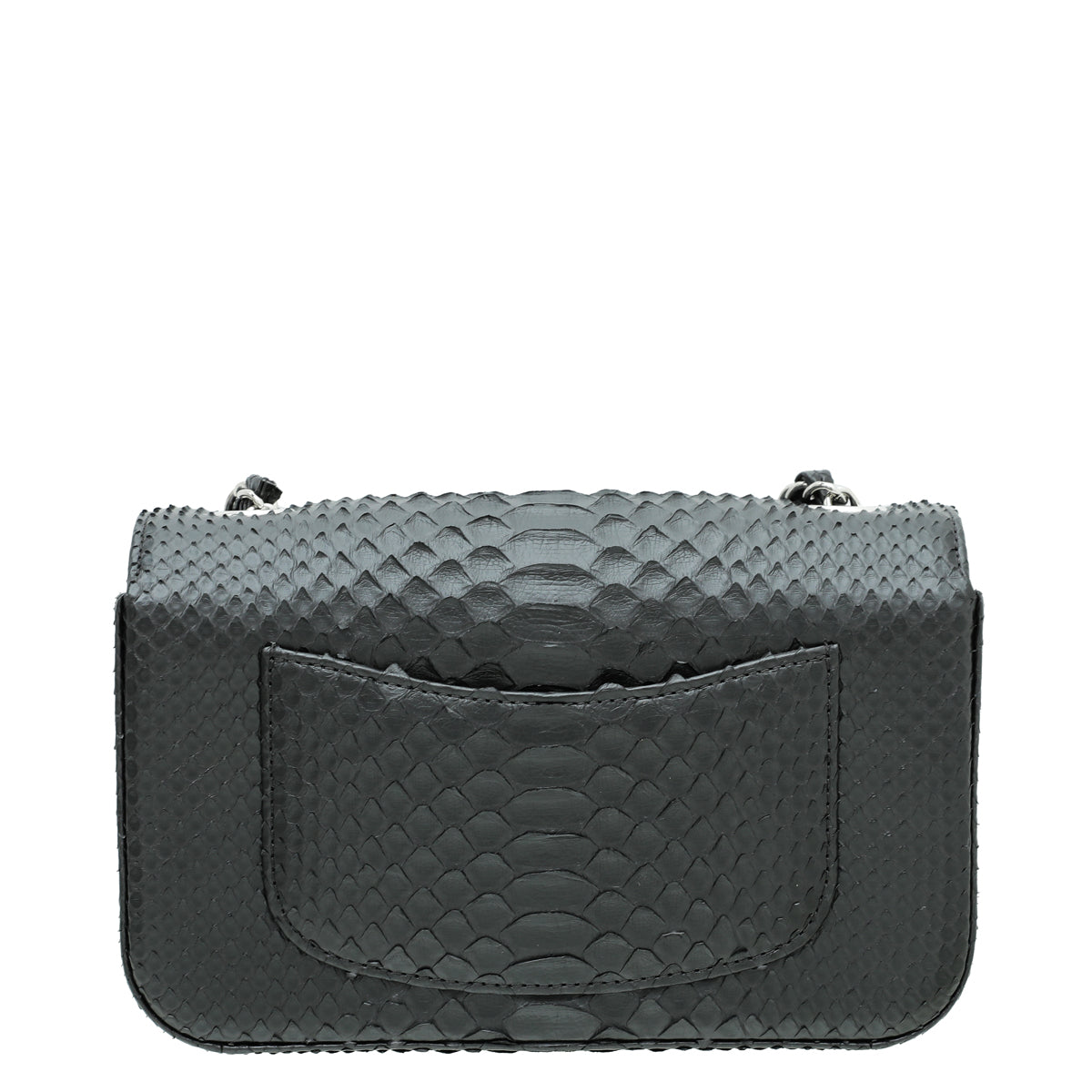 Chanel Black Python CC Rectangular Bag-Chanel-THE CLOSET