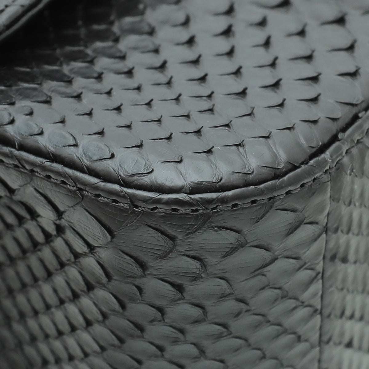 Chanel Black Python CC Rectangular Bag – THE CLOSET