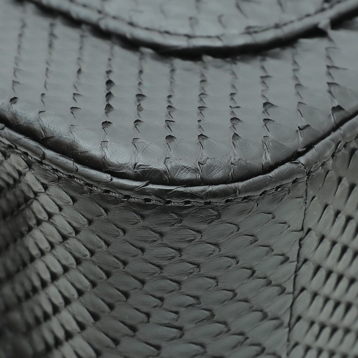 Chanel Black Python CC Rectangular Bag – THE CLOSET