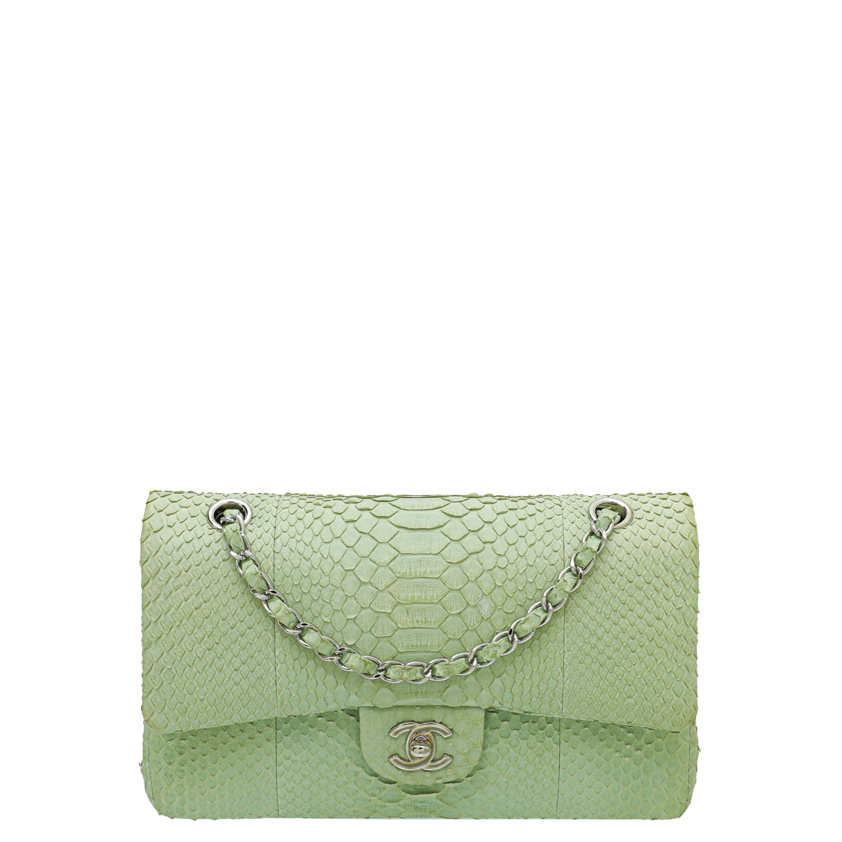 Chanel Light Green Python Classic Double Flap Medium Bag-Chanel-THE CLOSET