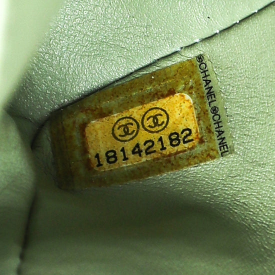 Chanel Light Green Python Classic Double Flap Medium Bag – The Closet