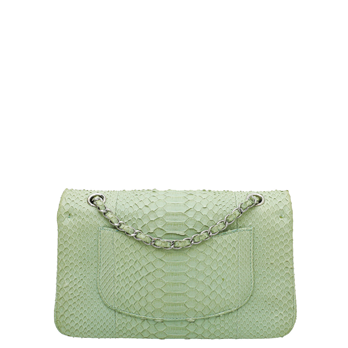 Chanel Light Green Python Classic Double Flap Medium Bag-Chanel-THE CLOSET