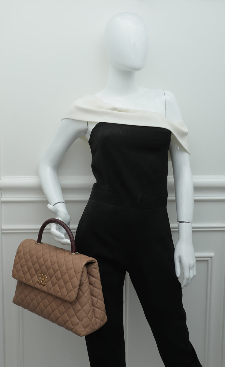 Chanel Light Brown Coco Handle Lizard Medium Bag – The Closet