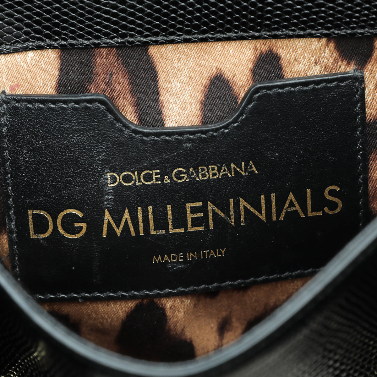 Dolce & Gabbana Black Iguana Print DG Millennials Small Crossbody Bag