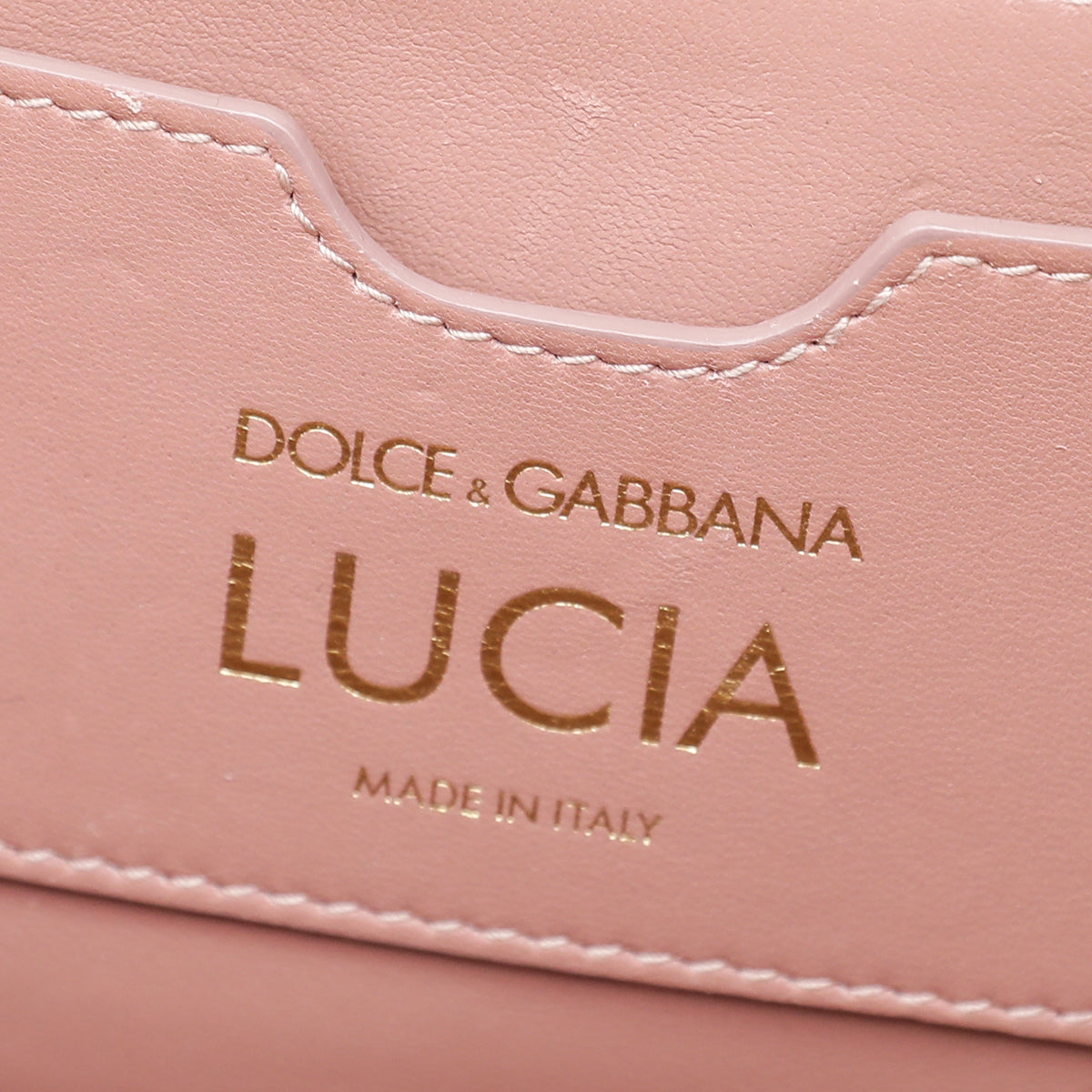 Dolce & Gabbana Red Iguana Print Lucia Shoulder Bag