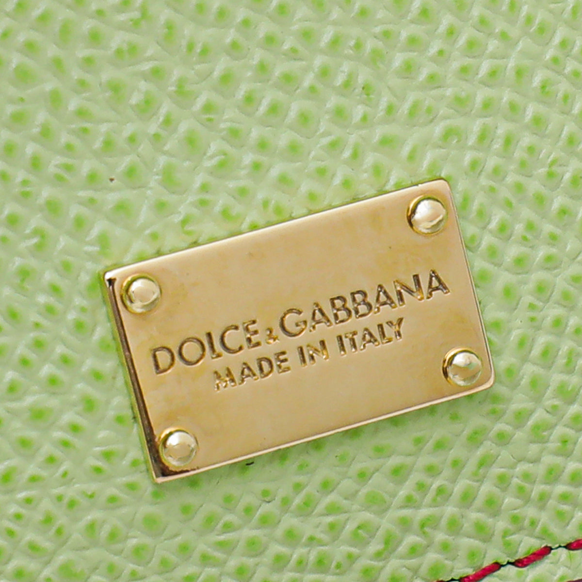 Dolce & Gabbana Multicolor Lizard Print Sicily Medium Bag