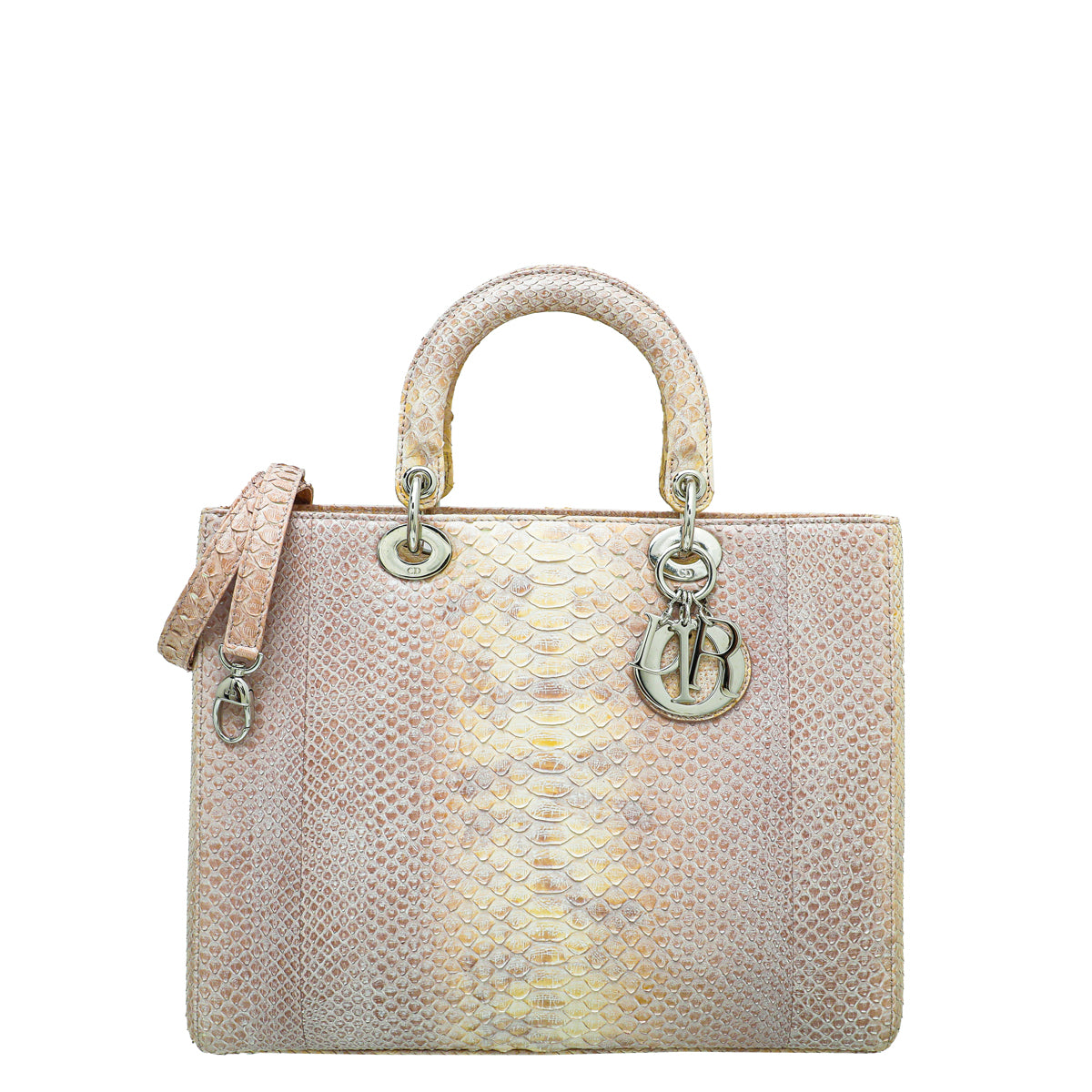 Christian Dior Bicolor Lady Dior Large Bag-Christian Dior-THE CLOSET