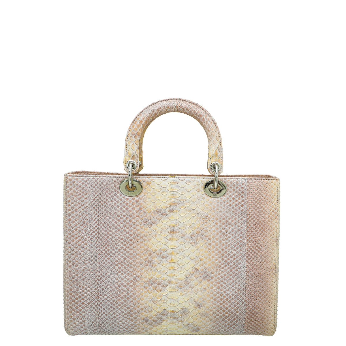 Christian Dior Bicolor Lady Dior Large Bag-Christian Dior-THE CLOSET