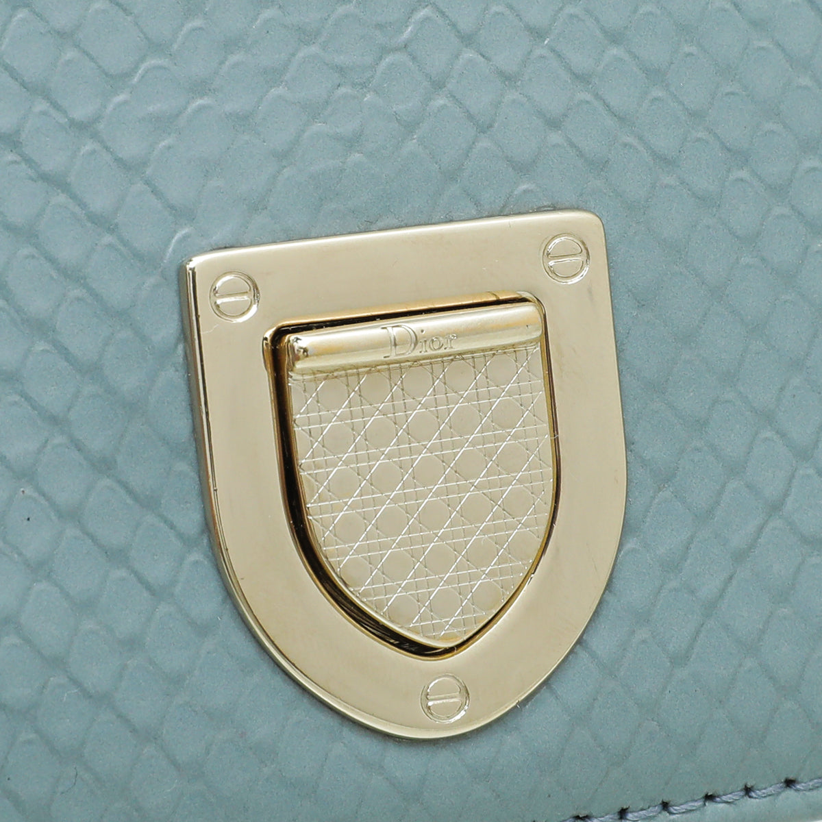 Christian Dior Grey Python Embossed Diorama Bag – THE CLOSET