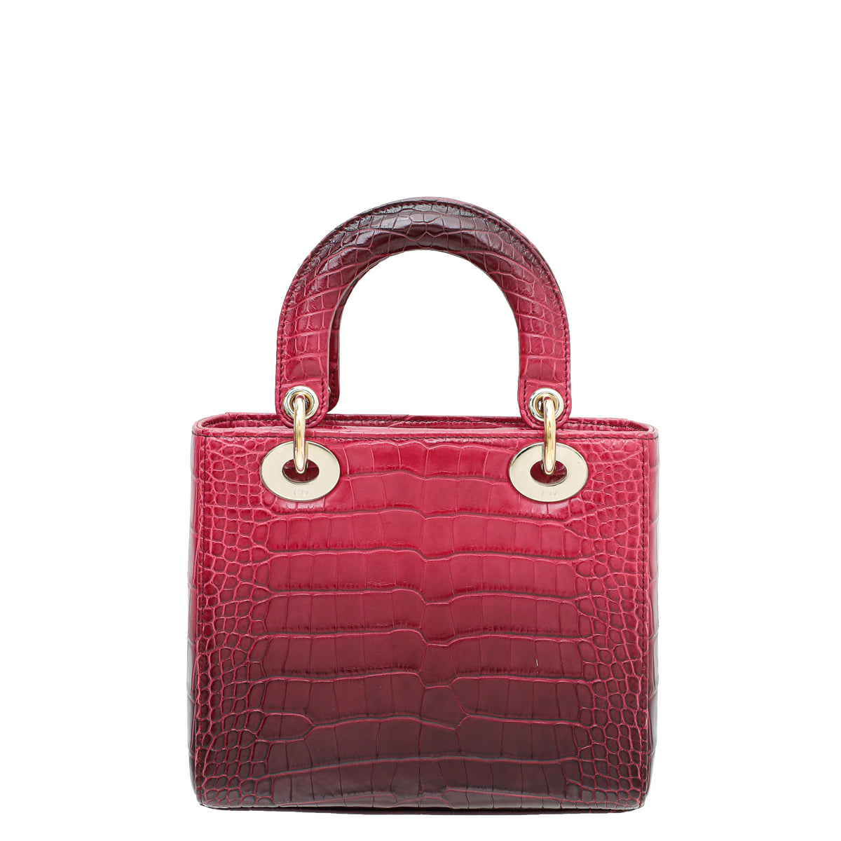 Ombre dior bag Clearance