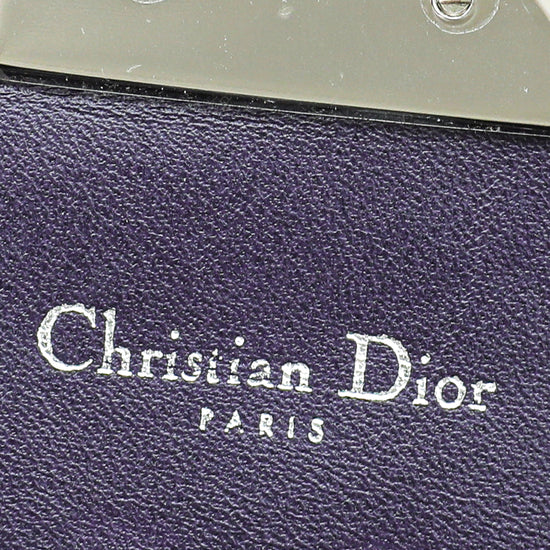 Christian Dior Light Pink Miss Dior Promenade Chain Pouch – The Closet
