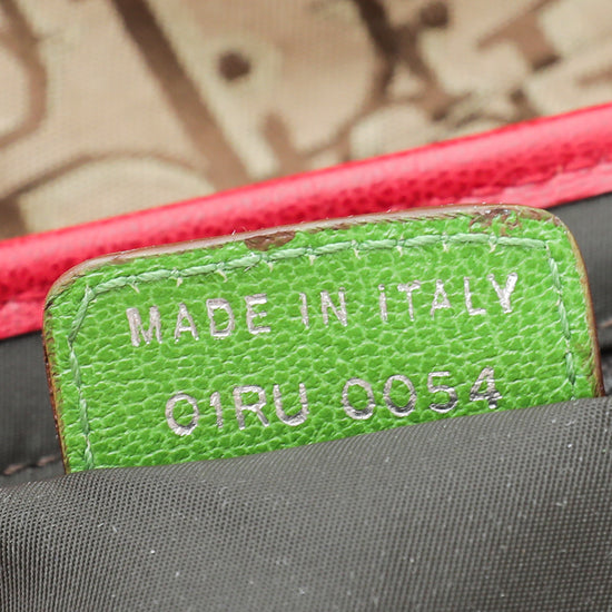 Christian Dior Multicolor Rasta Saddle Oblique Medium Bag