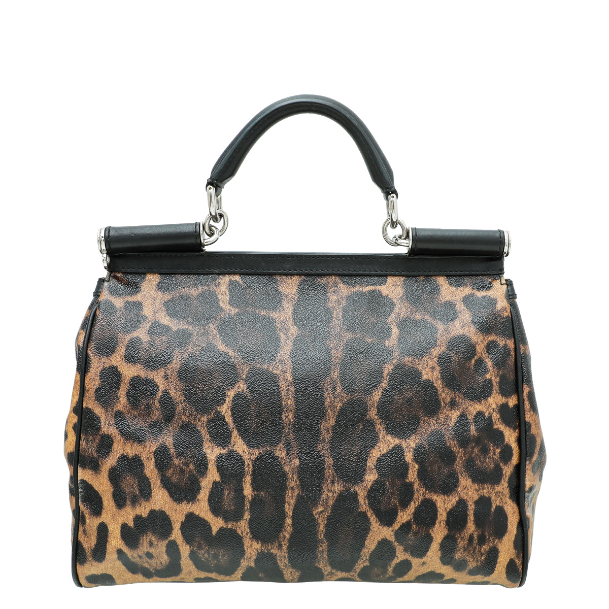 Dolce & Gabbana Brown Leopard Print Scilly Large Bag-Dolce & Gabbana-THE CLOSET