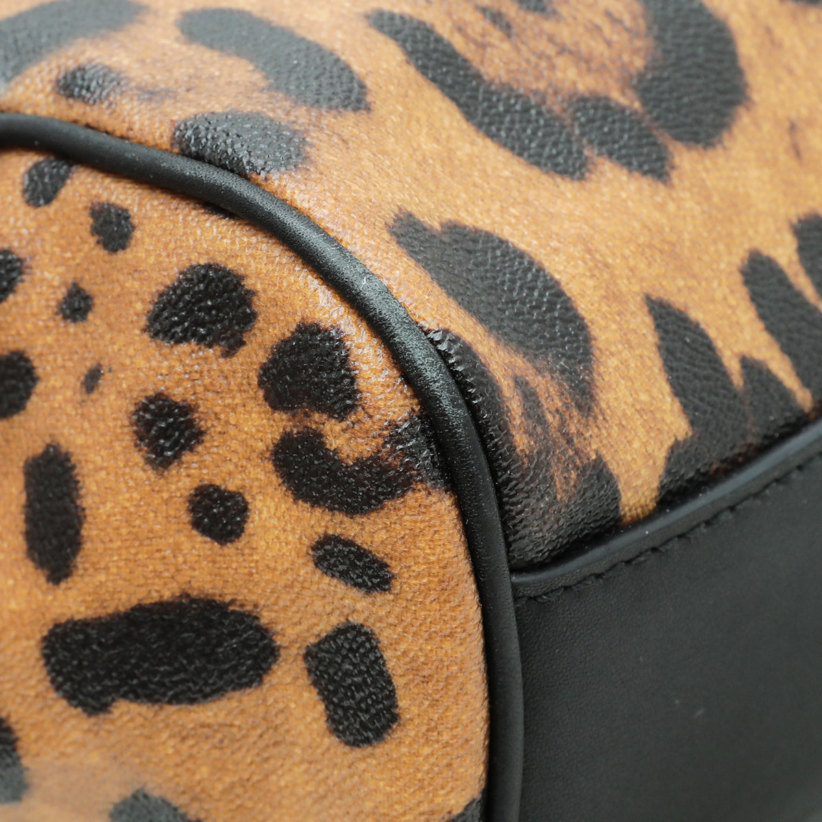 Dolce & Gabbana Brown Leopard Print Scilly Large Bag