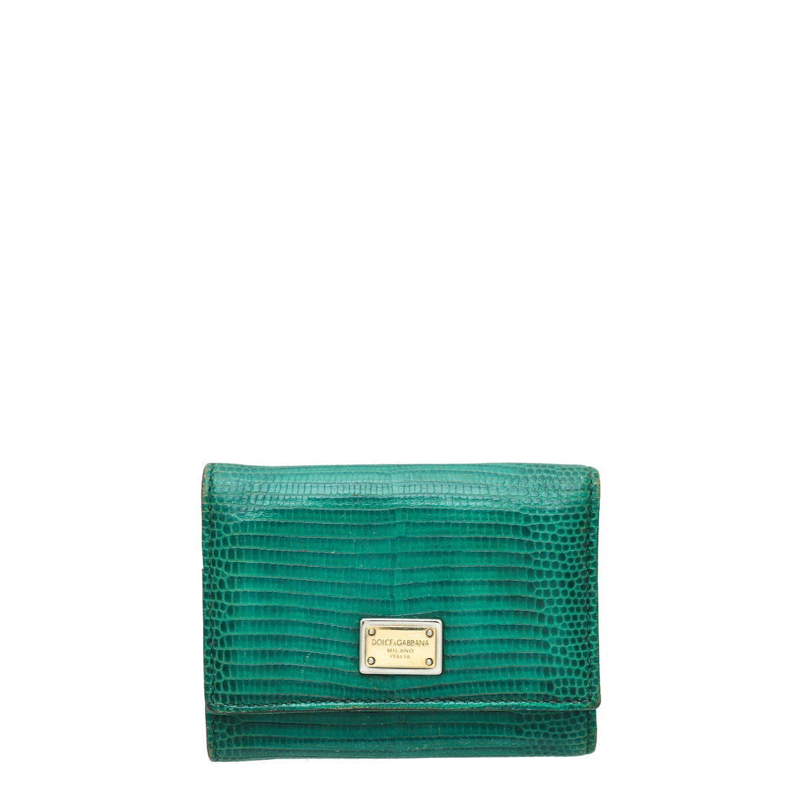 Dolce & Gabbana Green Lizard Embossed Small Wallet-Dolce & Gabbana-THE CLOSET