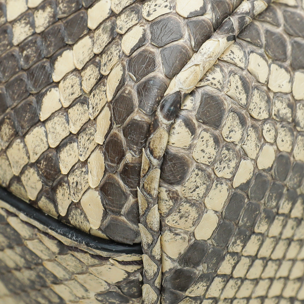 Gucci Bicolor Python Re(Belle) Top Handle Medium Bag