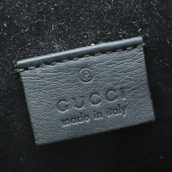 Gucci Bicolor Dionysus Small Bag