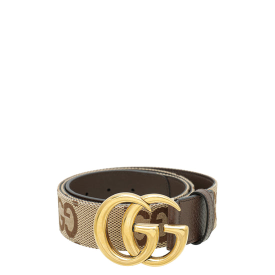 GG Marmont wide belt in beige and ebony GG Supreme
