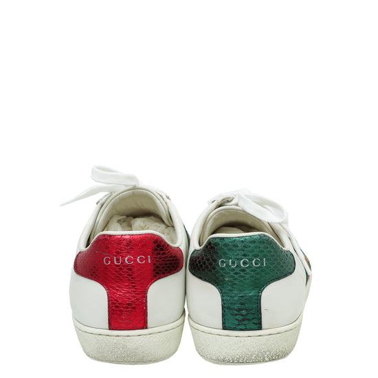 Gucci sneakers red store and green back