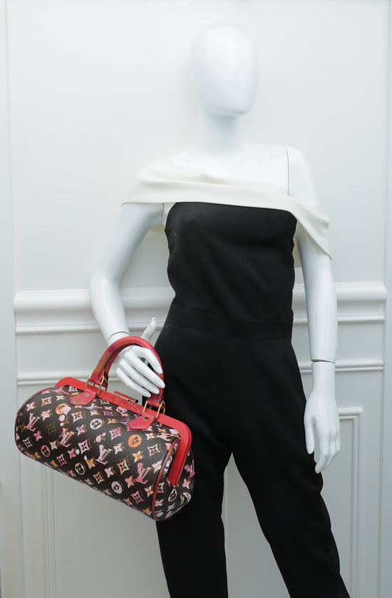 Louis Vuitton Cherry Black Watercolor Aquarelle Papillon Frame Bag 24L26a