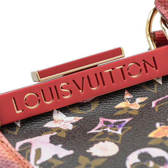 Louis Vuitton Monogram Watercolor Canvas and Karung Limited Edition  Aquarelle Papillon Frame Bag Louis Vuitton | The Luxury Closet