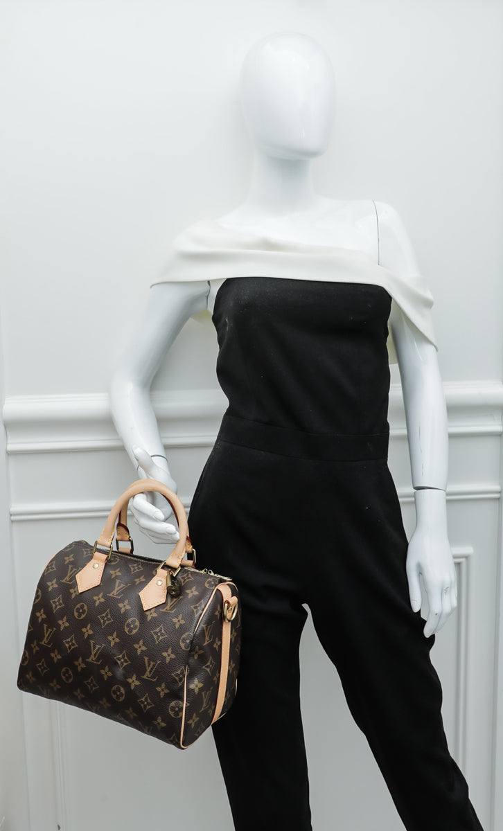 Louis Vuitton Damier Ebene Speedy Bandouliere 25 Bag – The Closet