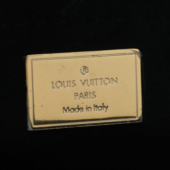 Louis Vuitton Bicolor Monogram Vernis Spring Street Bag