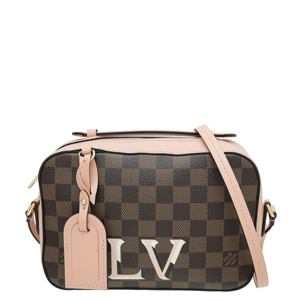 Louis Vuitton Venus Ebene Santa Monica Bag – THE CLOSET