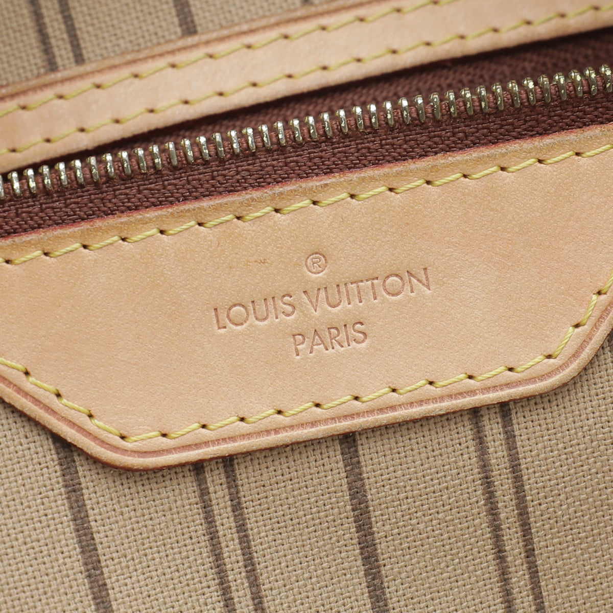 Louis Vuitton Monogram Delightful PM Bag