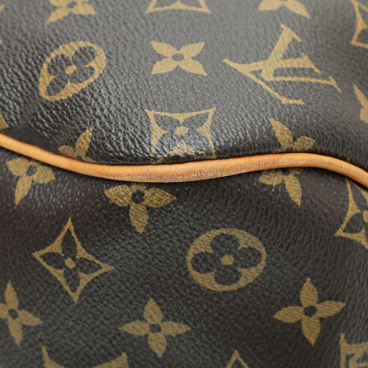 Louis Vuitton Monogram Delightful PM Bag