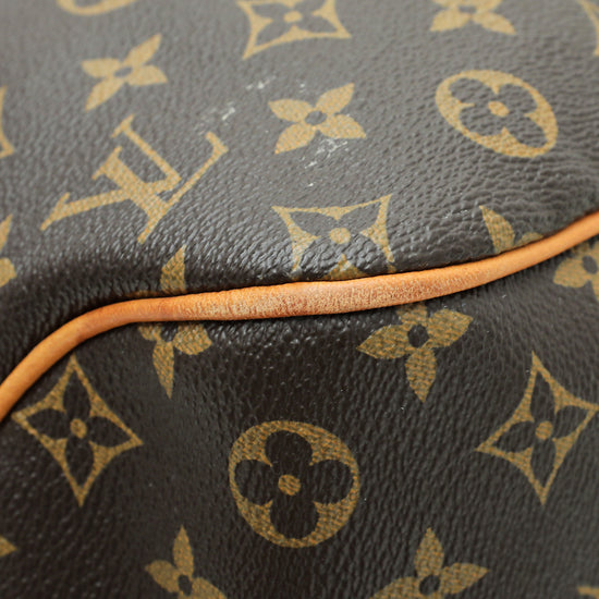 Louis Vuitton Monogram Delightful PM Bag