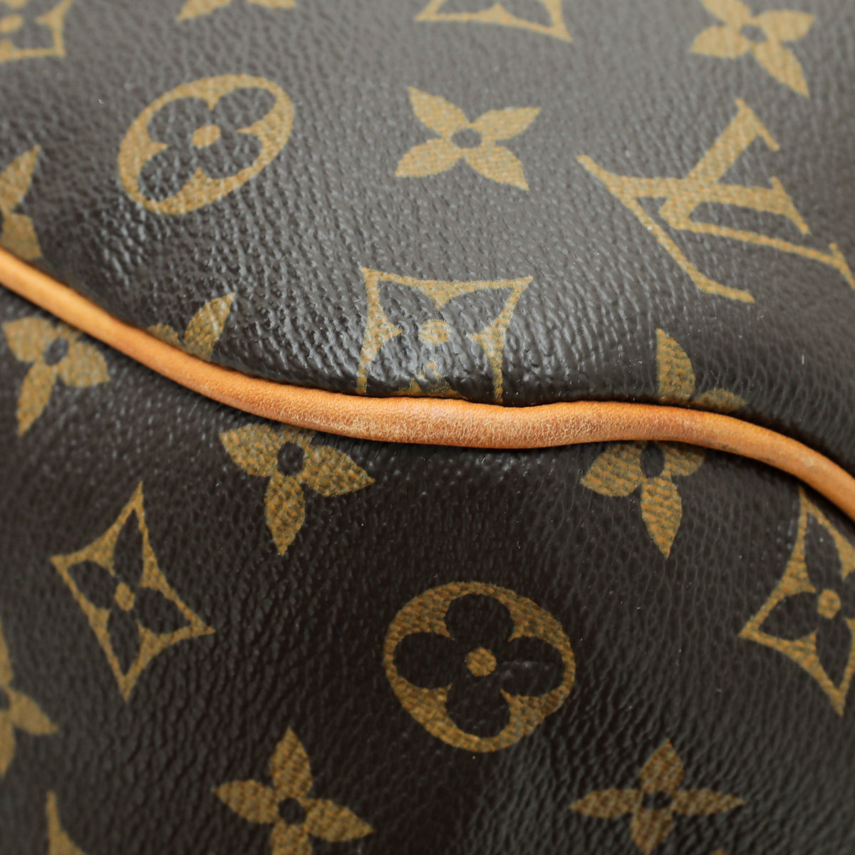 Louis Vuitton Monogram Delightful PM Bag – The Closet