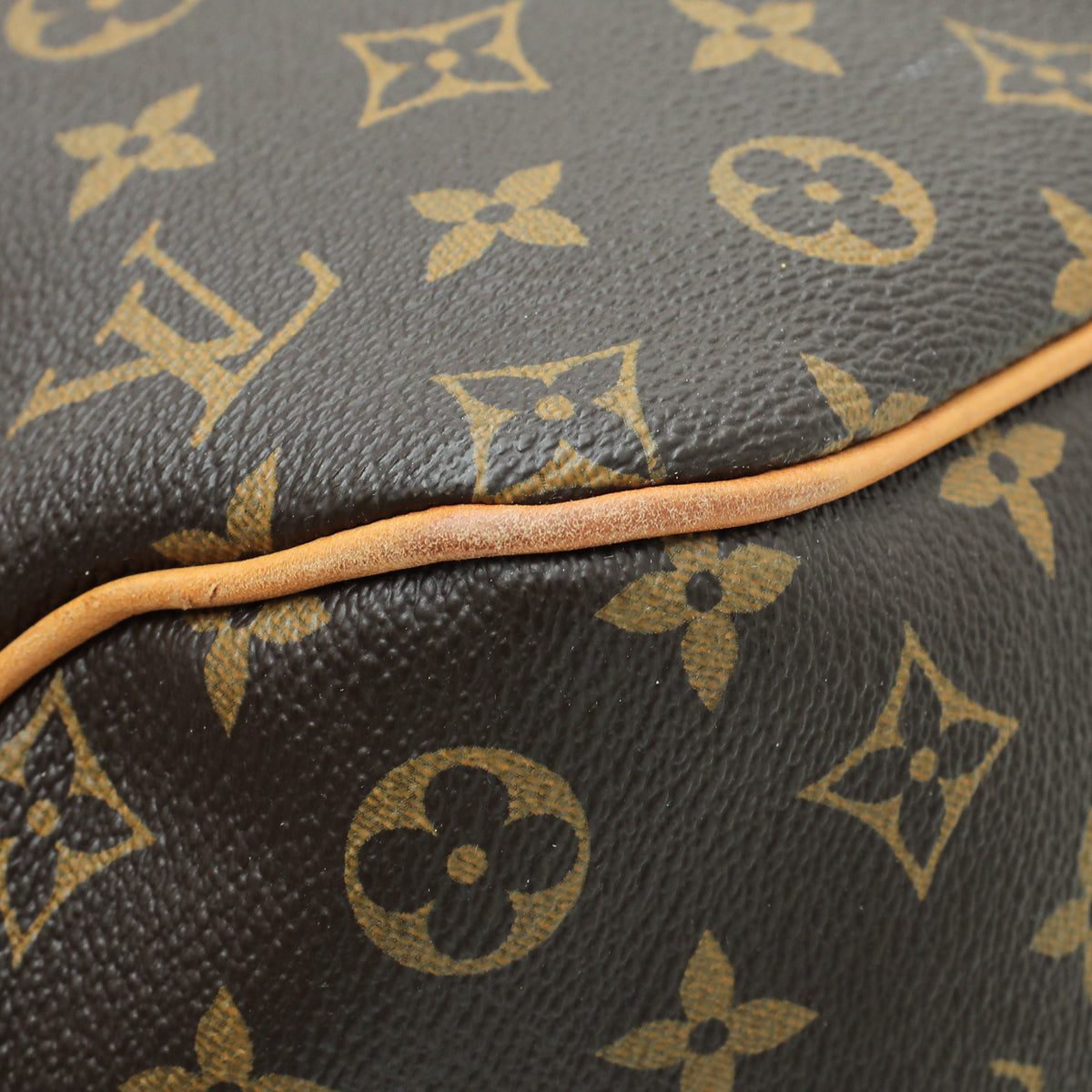 Louis Vuitton Monogram Delightful PM Bag