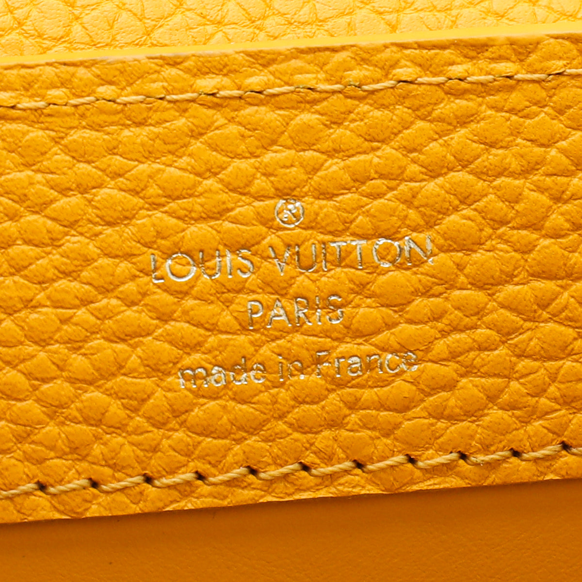 Louis Vuitton Jaune D'or Python Capucine Mini Bag